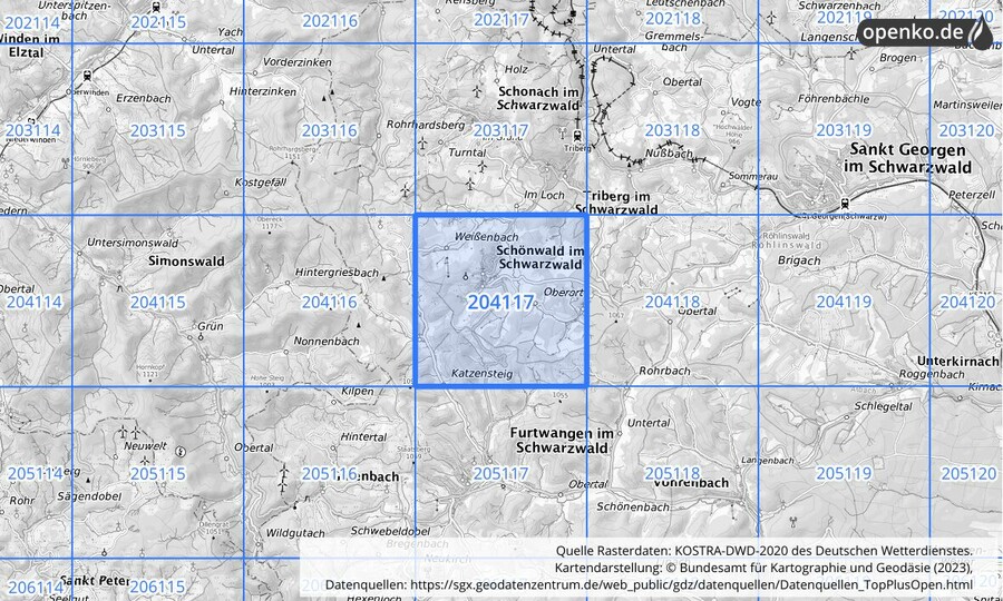 Übersichtskarte des KOSTRA-DWD-2020-Rasterfeldes Nr. 204117