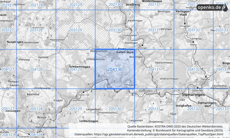 Übersichtskarte des KOSTRA-DWD-2020-Rasterfeldes Nr. 204130