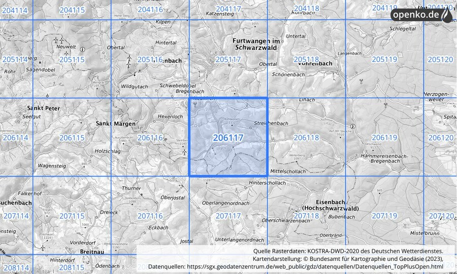 Übersichtskarte des KOSTRA-DWD-2020-Rasterfeldes Nr. 206117