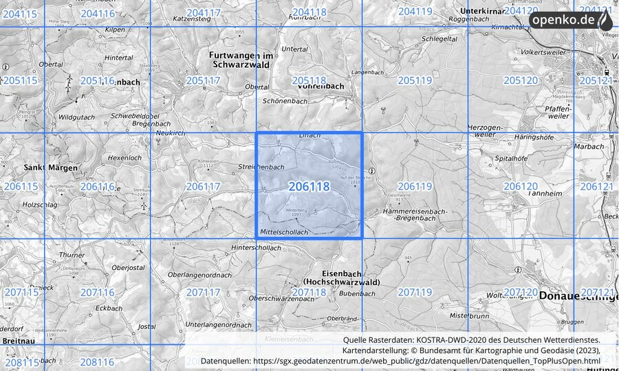 Übersichtskarte des KOSTRA-DWD-2020-Rasterfeldes Nr. 206118