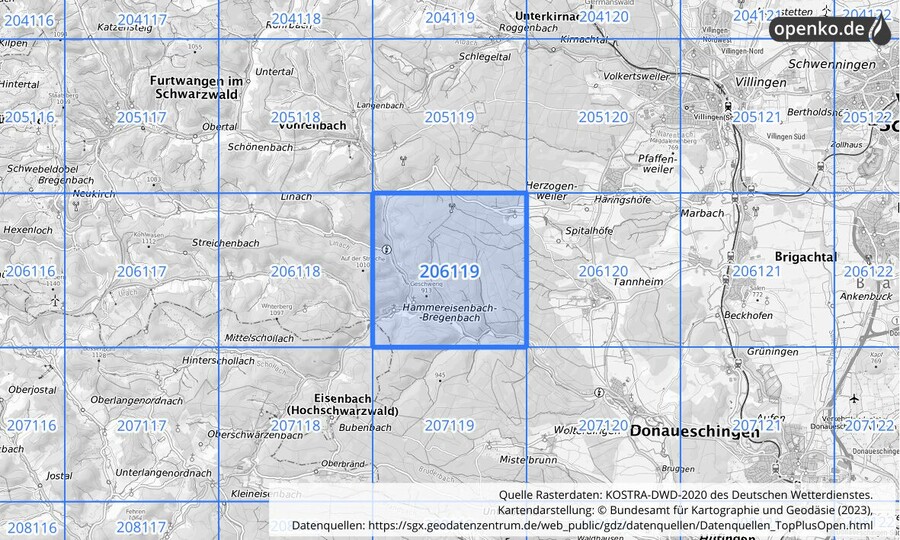 Übersichtskarte des KOSTRA-DWD-2020-Rasterfeldes Nr. 206119