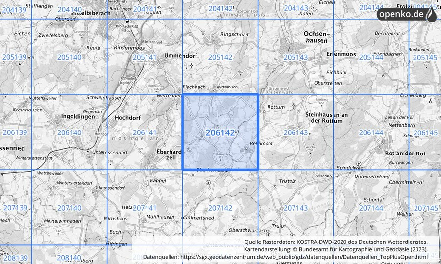 Übersichtskarte des KOSTRA-DWD-2020-Rasterfeldes Nr. 206142