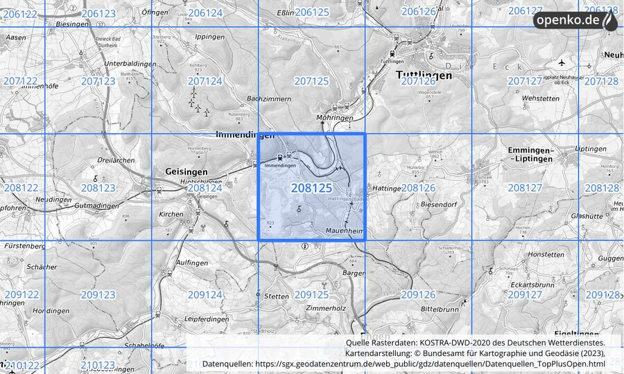 Übersichtskarte des KOSTRA-DWD-2020-Rasterfeldes Nr. 208125