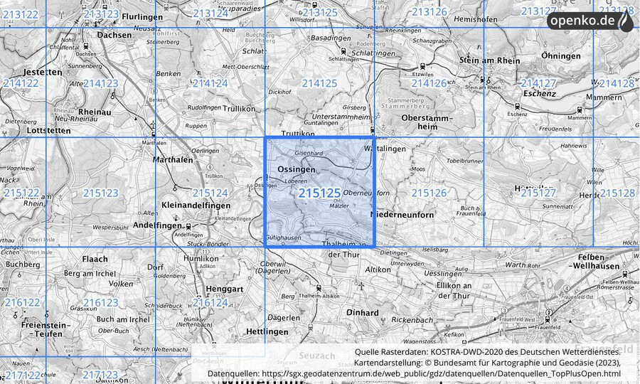 Übersichtskarte des KOSTRA-DWD-2020-Rasterfeldes Nr. 215125