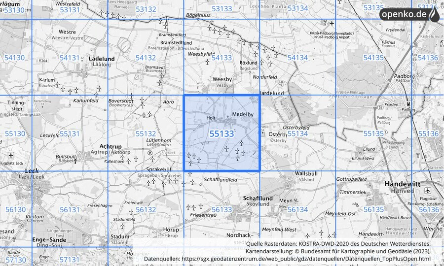 Übersichtskarte des KOSTRA-DWD-2020-Rasterfeldes Nr. 55133
