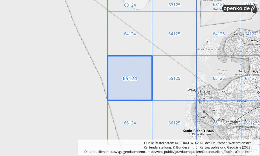 Übersichtskarte des KOSTRA-DWD-2020-Rasterfeldes Nr. 65124