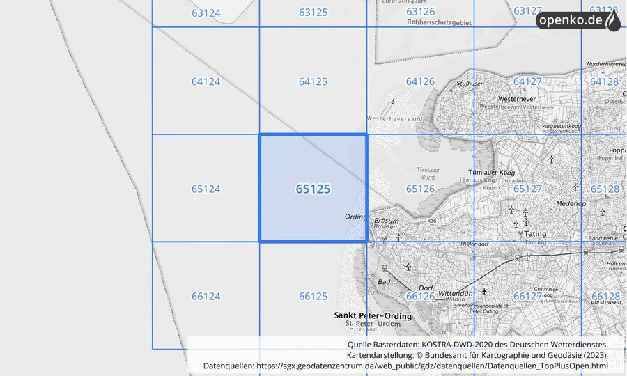 Übersichtskarte des KOSTRA-DWD-2020-Rasterfeldes Nr. 65125