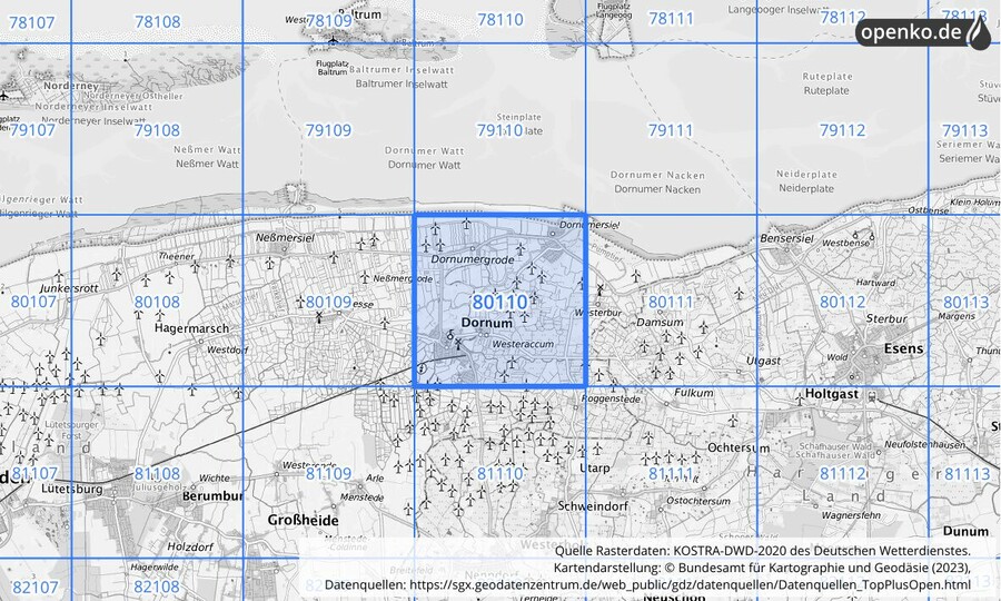 Übersichtskarte des KOSTRA-DWD-2020-Rasterfeldes Nr. 80110