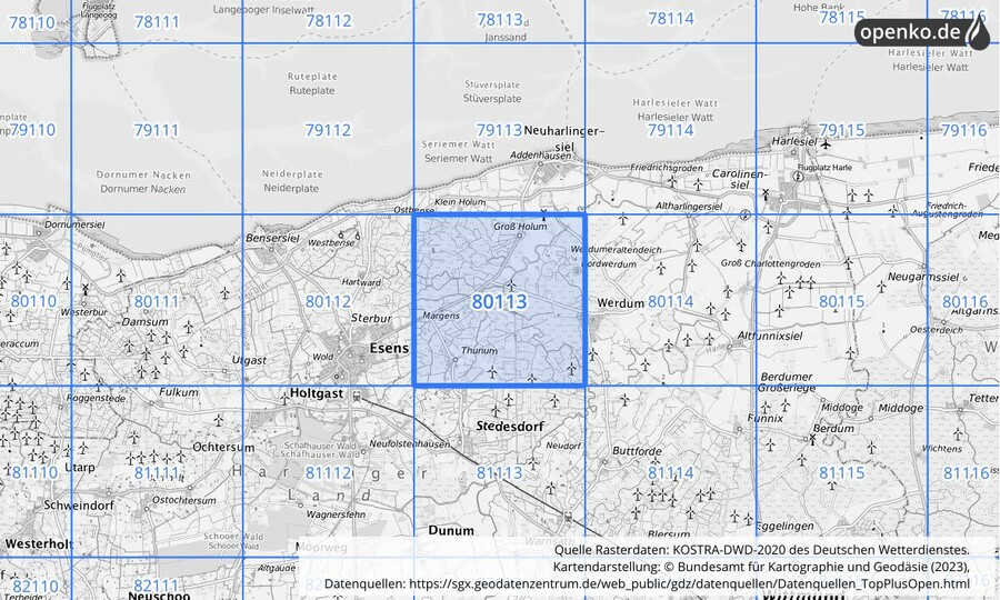 Übersichtskarte des KOSTRA-DWD-2020-Rasterfeldes Nr. 80113