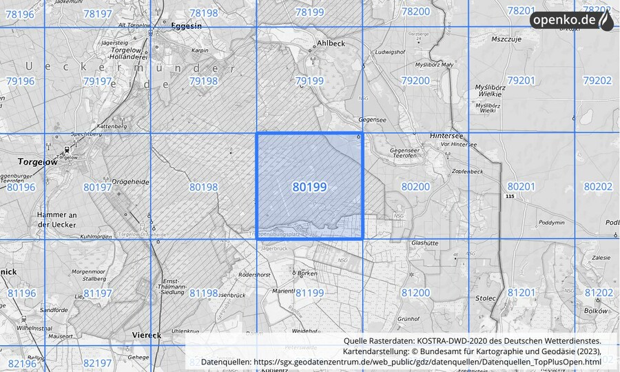 Übersichtskarte des KOSTRA-DWD-2020-Rasterfeldes Nr. 80199