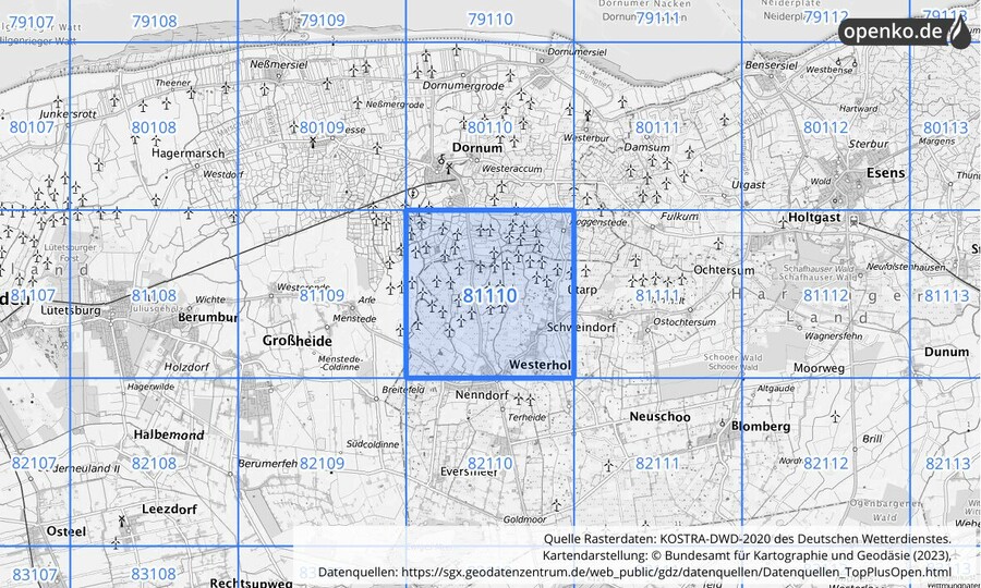 Übersichtskarte des KOSTRA-DWD-2020-Rasterfeldes Nr. 81110