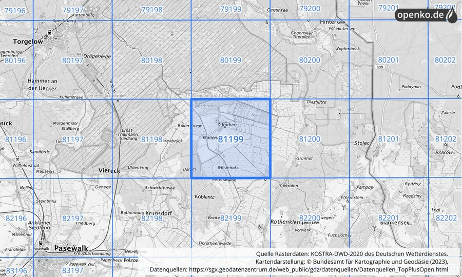 Übersichtskarte des KOSTRA-DWD-2020-Rasterfeldes Nr. 81199