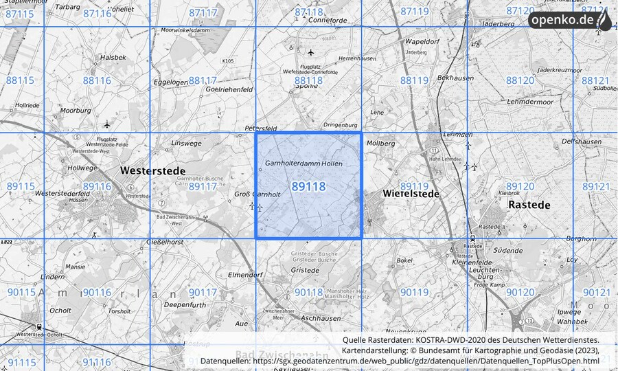 Übersichtskarte des KOSTRA-DWD-2020-Rasterfeldes Nr. 89118