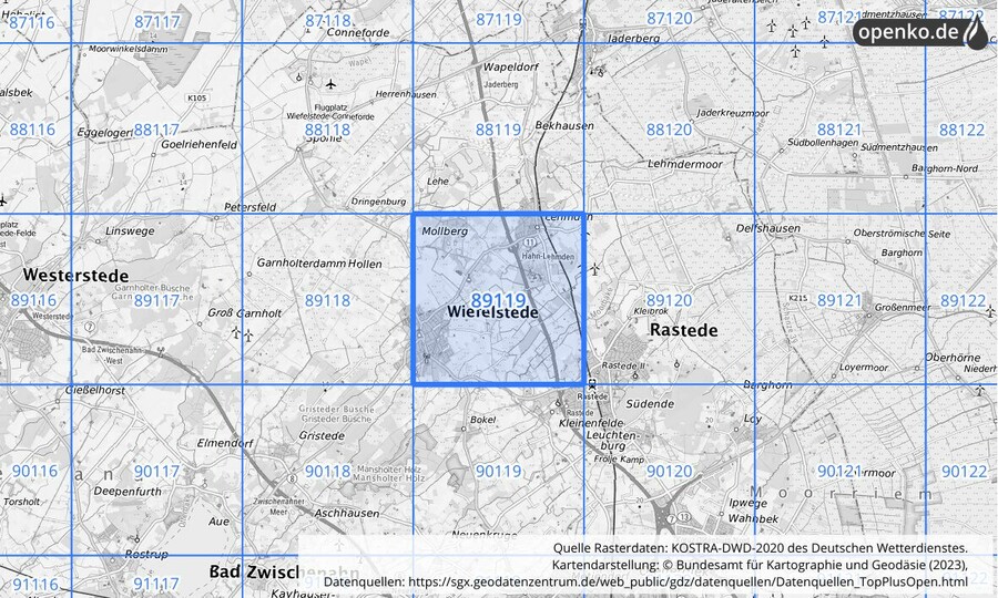 Übersichtskarte des KOSTRA-DWD-2020-Rasterfeldes Nr. 89119